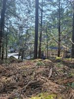 Anlage des Toshogu-Schreins in Nikko
