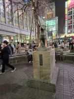 Scrample Crossing in Shibuya