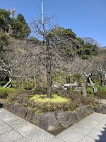 Hasedera-Tempel in Kamakura