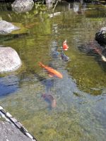 Hasedera-Tempel in Kamakura