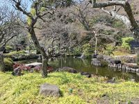 Hasedera-Tempel in Kamakura