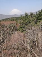 Gondelauffahrt über das Owakudani-Tal