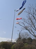 Fotostopp in Shizuoko