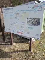 Zu Besuch im Affenpark