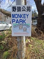 Zu Besuch im Affenpark