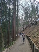 Zu Besuch im Affenpark