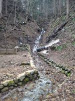 Zu Besuch im Affenpark