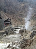 Zu Besuch im Affenpark