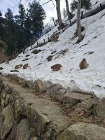 Zu Besuch im Affenpark