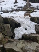 Zu Besuch im Affenpark