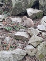 Zu Besuch im Affenpark