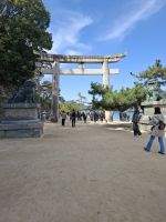 auf der Insel Miyajima