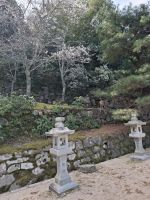 auf der Insel Miyajima