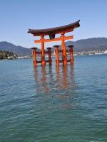 auf der Insel Miyajima