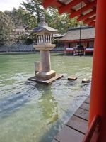 Shinto- Schrein von Itsukushima auf der Insel Miyajima