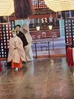 Hochzeitszermonie im Shinto- Schrein von Itsukushima auf der Insel Miyajima