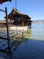 auf der Insel Miyajima