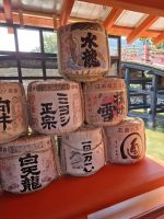 auf der Insel Miyajima