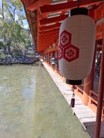 auf der Insel Miyajima