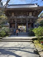 auf der Insel Miyajima