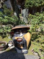 auf der Insel Miyajima