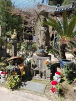 auf der Insel Miyajima