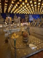 auf der Insel Miyajima