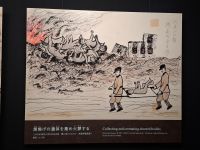 Hiroshima Peace Memorial Museum