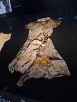 Hiroshima Peace Memorial Museum