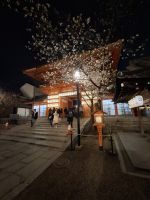 Yasaka-Schrein in Kyoto