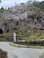 Landschaftsgarten in Nara