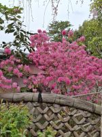 Landschaftsgarten in Nara