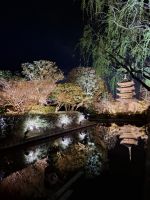 Toji-Tempel in Kyoto - illuminierter Garten