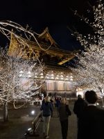 Toji-Tempel in Kyoto - illuminierter Garten