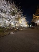 Toji-Tempel in Kyoto - illuminierter Garten