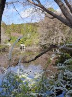 Ryoanji-Tempel in Kyoto