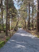 Ryoanji-Tempel in Kyoto