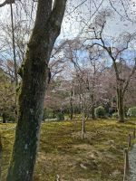 Ryoanji-Tempel in Kyoto