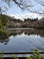 Ryoanji-Tempel in Kyoto