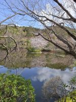 Ryoanji-Tempel in Kyoto
