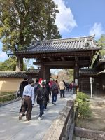 beim Goldenen Pavillon (Kinkakuji) in Kyoto