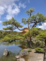 beim Goldenen Pavillon (Kinkakuji) in Kyoto
