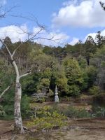 beim Goldenen Pavillon (Kinkakuji) in Kyoto