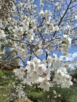 Heian-Schrein in Kyoto