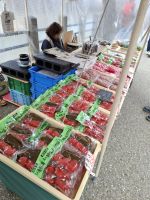 Wochenmarkt in Takayma