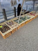 Wochenmarkt in Takayma