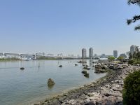 2. Tag: Ankunft in Tokio – Rainbow Bridge vom Stadtteil Odaiba aus