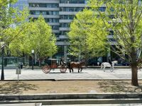 2. Tag: Ankunft in Tokio – Kutsche vor dem Kaiserpalast