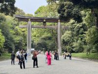 3. Tag: Erkundung von Tokio – Meiji-Schrein