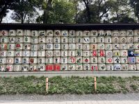 3. Tag: Erkundung von Tokio – Meiji-Schrein